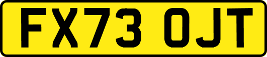 FX73OJT