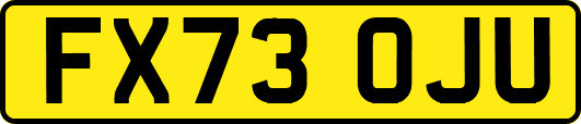 FX73OJU