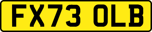 FX73OLB