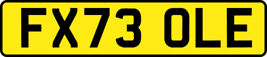 FX73OLE
