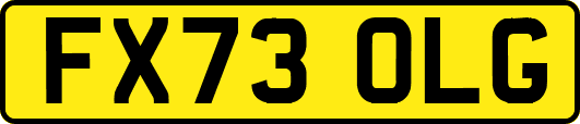 FX73OLG