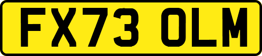 FX73OLM