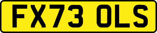 FX73OLS