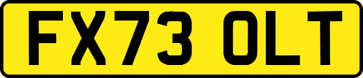 FX73OLT