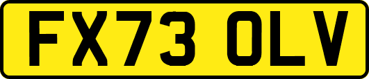 FX73OLV