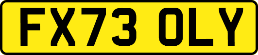 FX73OLY