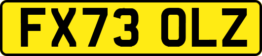 FX73OLZ