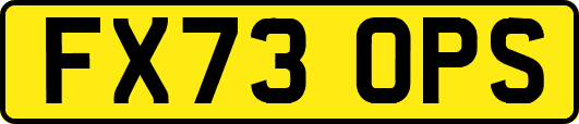 FX73OPS