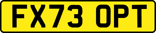 FX73OPT