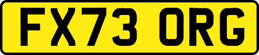 FX73ORG