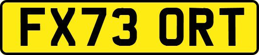 FX73ORT