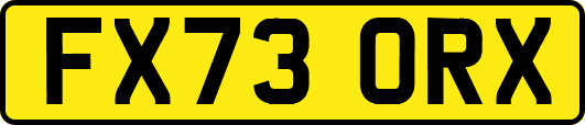 FX73ORX