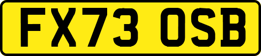 FX73OSB