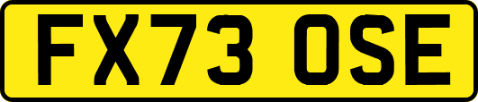 FX73OSE