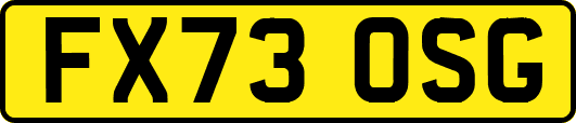 FX73OSG