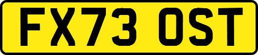 FX73OST