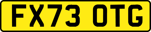 FX73OTG