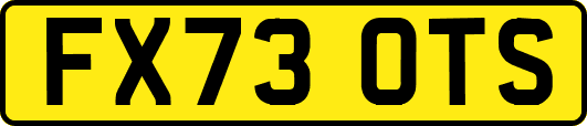 FX73OTS