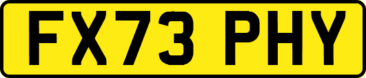 FX73PHY