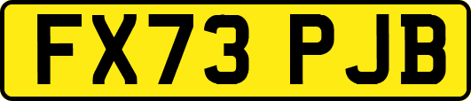 FX73PJB
