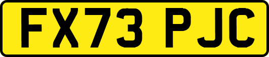 FX73PJC