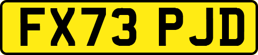 FX73PJD