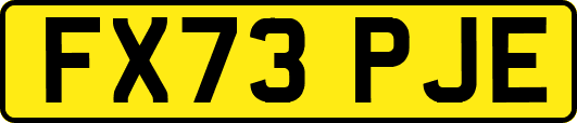 FX73PJE