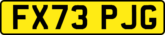 FX73PJG