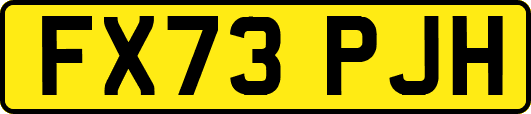 FX73PJH