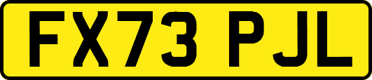 FX73PJL