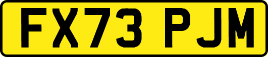 FX73PJM