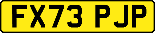 FX73PJP