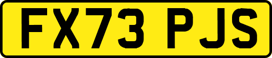 FX73PJS