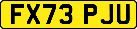 FX73PJU