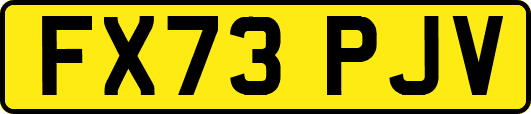 FX73PJV