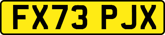 FX73PJX