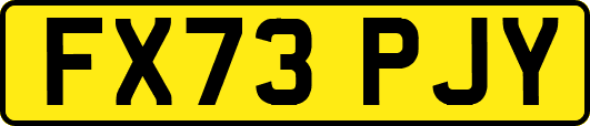 FX73PJY
