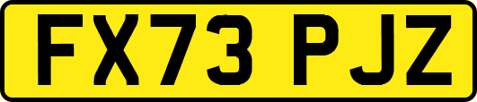 FX73PJZ