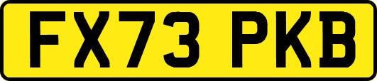 FX73PKB