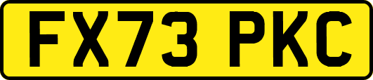 FX73PKC
