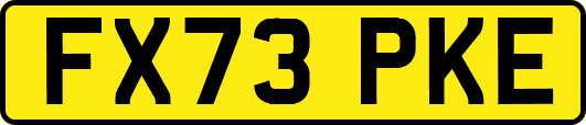 FX73PKE