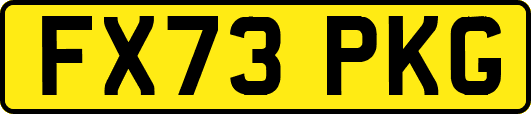 FX73PKG
