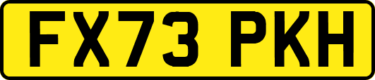 FX73PKH