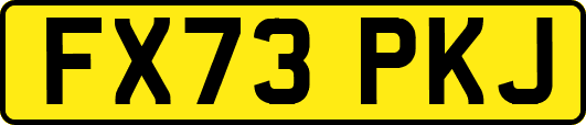FX73PKJ