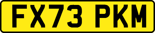 FX73PKM