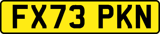 FX73PKN