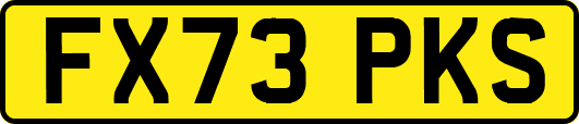 FX73PKS