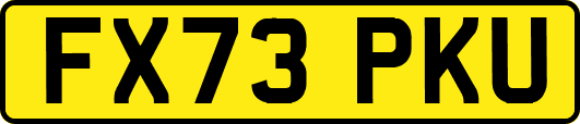 FX73PKU