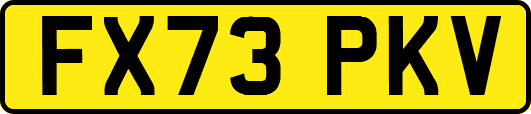 FX73PKV