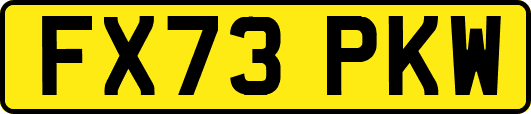 FX73PKW